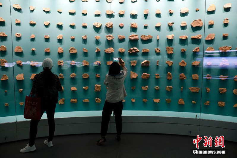 Музей естествознания Палеонтологического заповедника города Чэнцзян открылся для посетителей