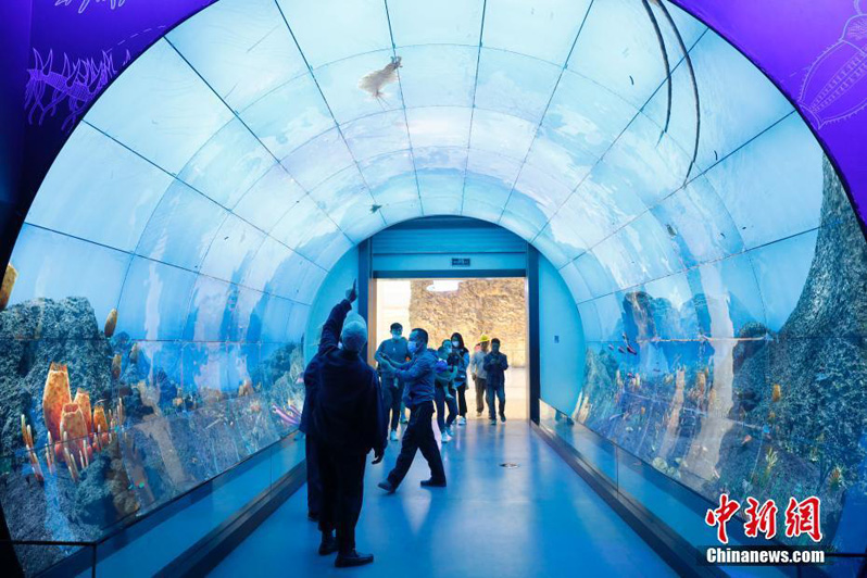 Музей естествознания Палеонтологического заповедника города Чэнцзян открылся для посетителей