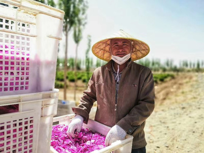 Выращивание роз увеличивает доходы жителей китайского уезда Юйтянь