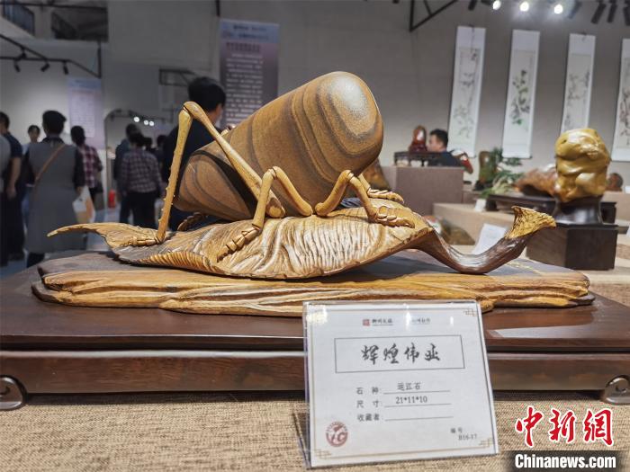 В китайском городе Лючжоу представлены необычные камни, напоминающие животных