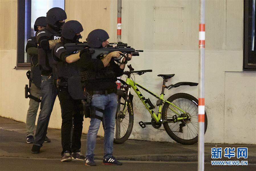 По меньшей мере два человека погибли в результате стрельбы в Вене