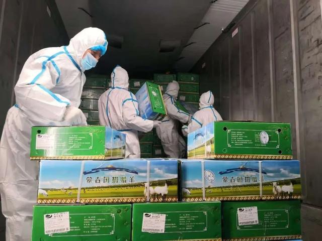 Мясо пожертвованных Монголией овец начали доставлять в китайский город Ухань