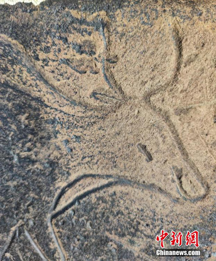 В китайской провинции Цинхай обнаружены древнюю наскальную рисунку