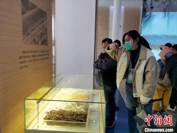 Изготовление сюаньчэнской бумаги по традиционной технологии