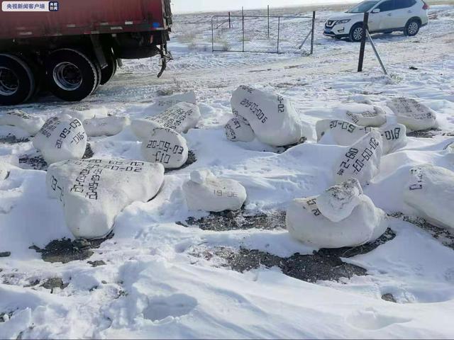 Ученые приступят к исследованию найденных во Внутренней Монголии окаменелостей динозавров