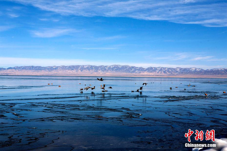 Притягательная красота озера Цинхай на северо-западе Китая