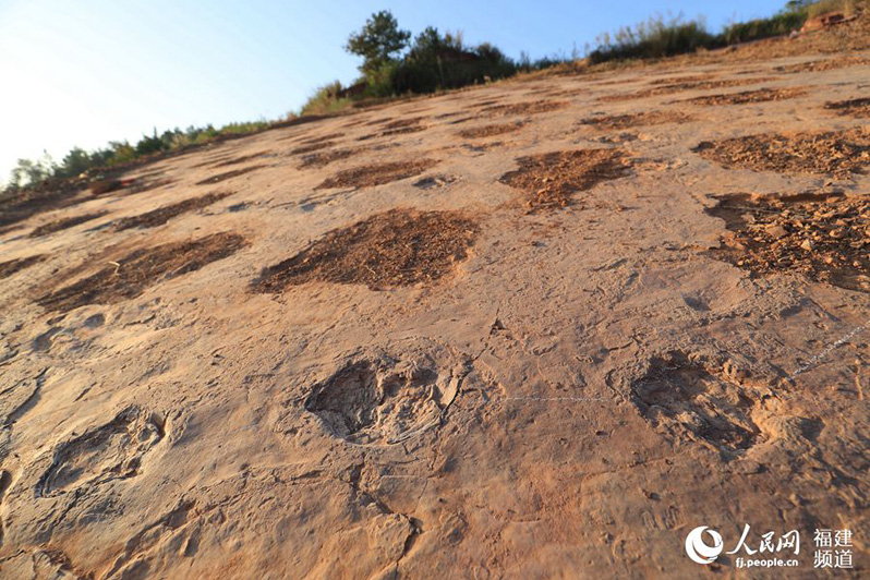 В провинции Фуцзянь обнаружены следы динозавров позднего мелового периода
