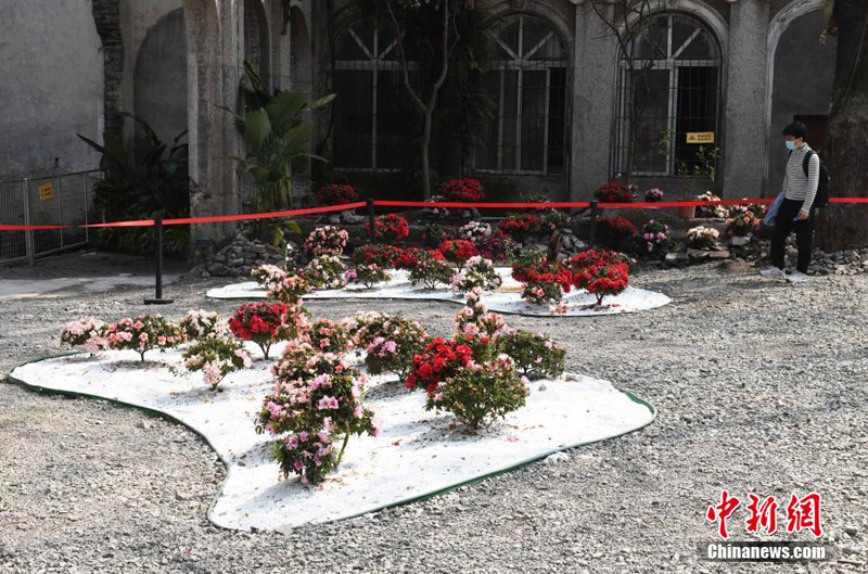 Мусорная свалка превратилась в цветочный сад в Чунцине