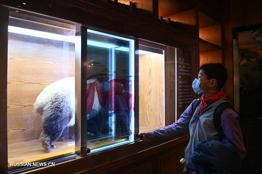 В Чэнду открылся первый в мире интерактивный тематический музей больших панд