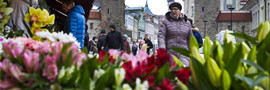 Русофобки Прибалтики не могут устоять перед цветами на 8 марта