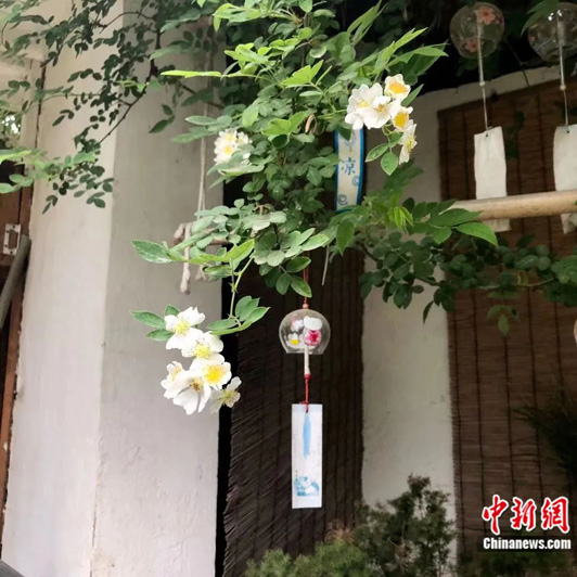 Цветущий двор китайского фотографа