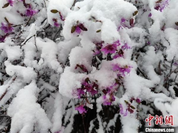 Во Внутренней Монголии Китая выпал снег
