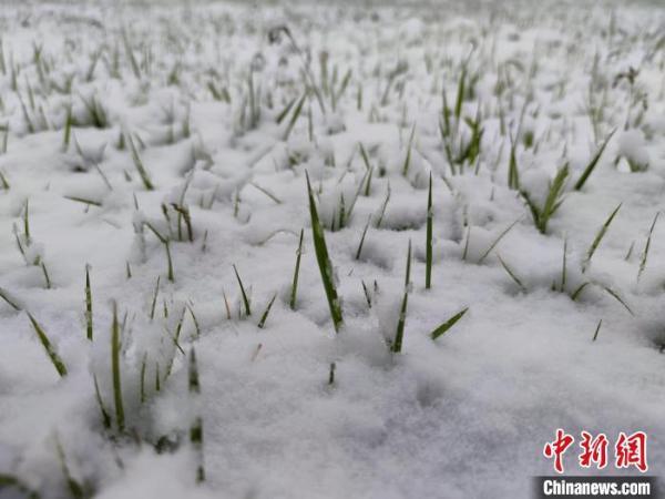 Во Внутренней Монголии Китая выпал снег
