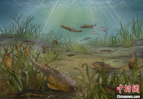 В Китае обнаружили окаменелость челюстноротой рыбы возрастом 423 млн лет