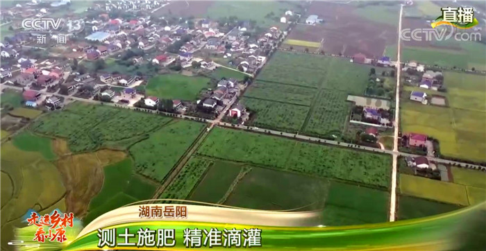 В провинции Хунань развивается новая модель цикличного сельского хозяйства  