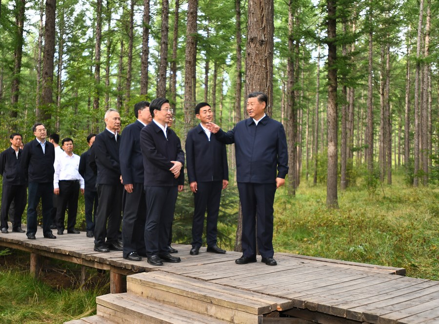 Си Цзиньпин подчеркнул необходимость развивать зеленую экономику и содействовать экологическому прогрессу 