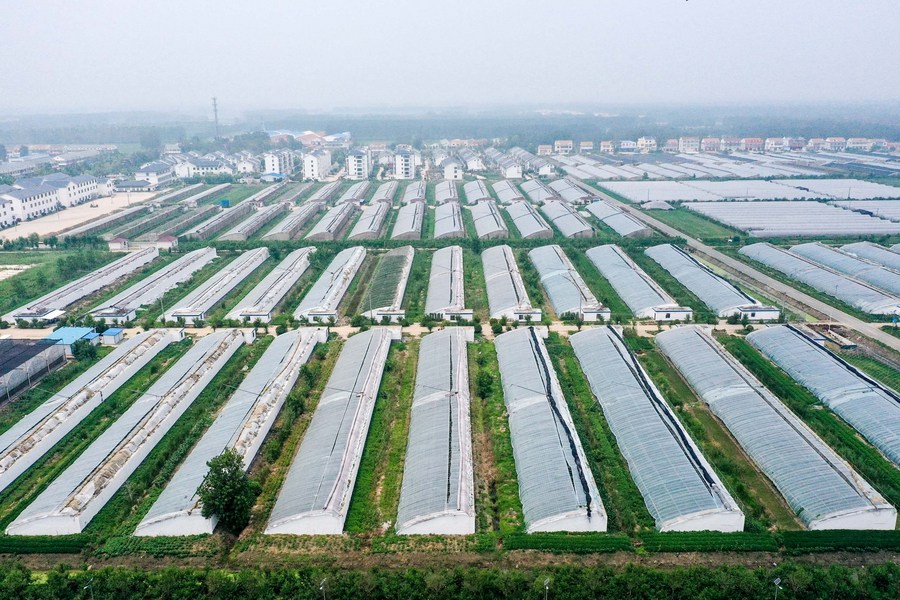Прямые иноинвестиции в сельскохозяйственный сектор китайской пров. Цзянсу растут
