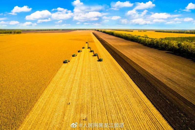 Си Цзиньпин поздравил китайских крестьян с наступающим Праздником урожая