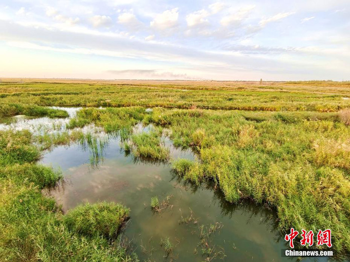 Осенние виды водно-болотных угодий Манаса на северо-западе Китая