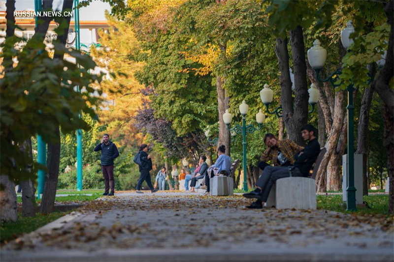 Волшебные краски осени в столице Узбекистана