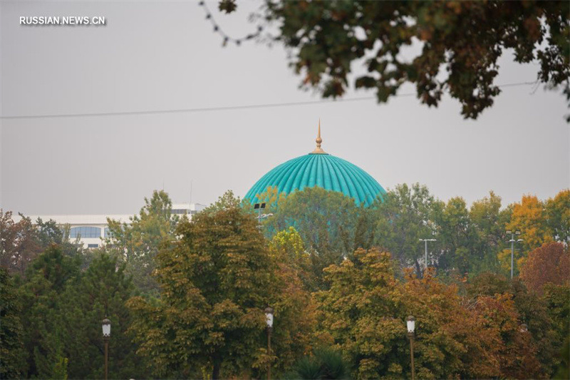 Волшебные краски осени в столице Узбекистана