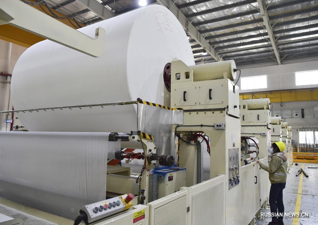 Чунцин содействует инновационному развитию кластера целлюлозно-бумажной промышленности