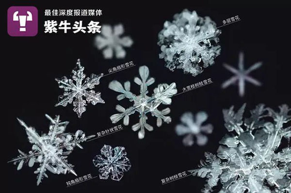 Китаец сделал снимки снежинок с помощью микроскопа