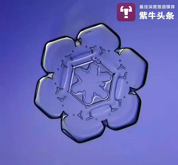 Китаец сделал снимки снежинок с помощью микроскопа