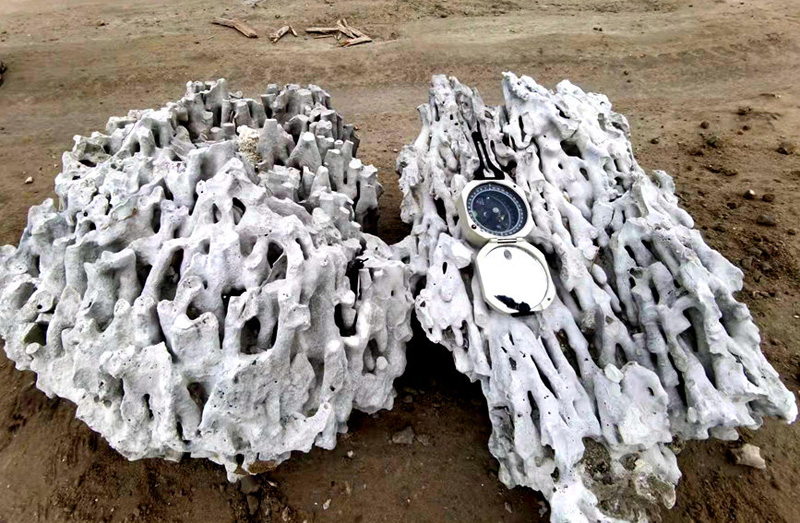 Остатки 2000-летнего кораллового рифа были впервые обнаружены на берегу Хайнаня