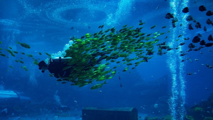 Большой тематический парк подводного мира открылся на Хайнане