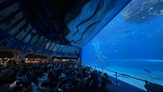 Большой тематический парк подводного мира открылся на Хайнане