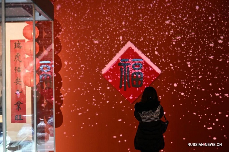 В Национальном музее Китая открылась выставка на тему года Тигра