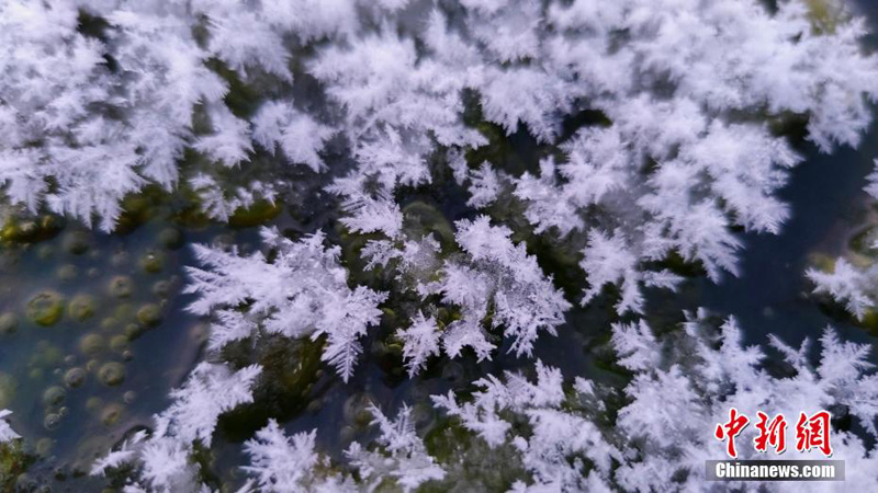 На реке Северного Китая "распустились" ледяные цветы
