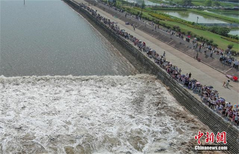 Приливная волна на реке Цяньтан в провинции Чжэцзян