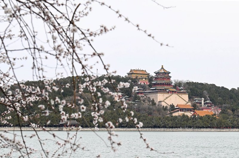 Пекин ускорит строительство музеев и парков в 2023 году