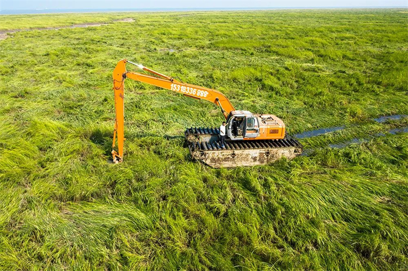 Город Дунъин прилагает усилия для восстановления водно-болотных угодий в дельте реки Хуанхэ