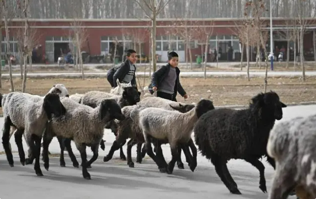 Оживленный базар в уезде Яркенд Синьцзяна