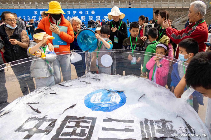 200 тыс. редких китайских осетров выпущены в реку Янцзы