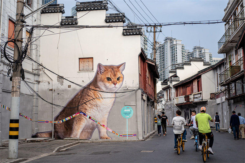 На старой улочке в центре Шанхая «поселились» коты