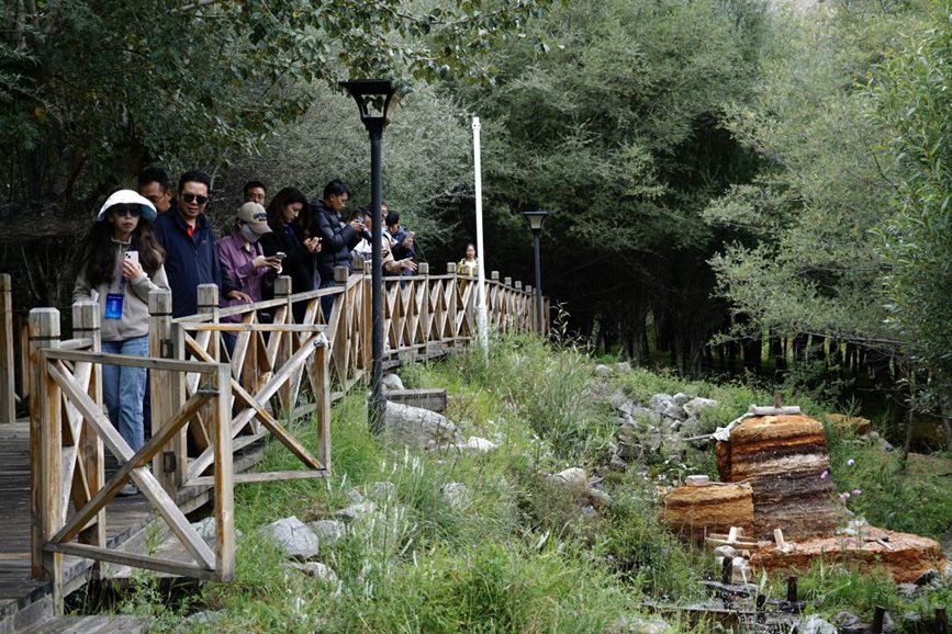 Производство курительных свечей в поселке Тибета