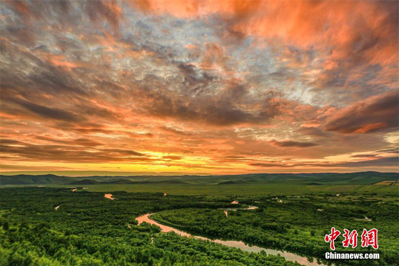 Осенние пейзажи водно-болотных угодий реки Аргунь в городском округе Хулун-Буир Внутренней Монголии