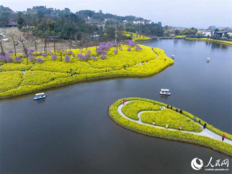 Туристы любуются весенним цветением в Чунцине