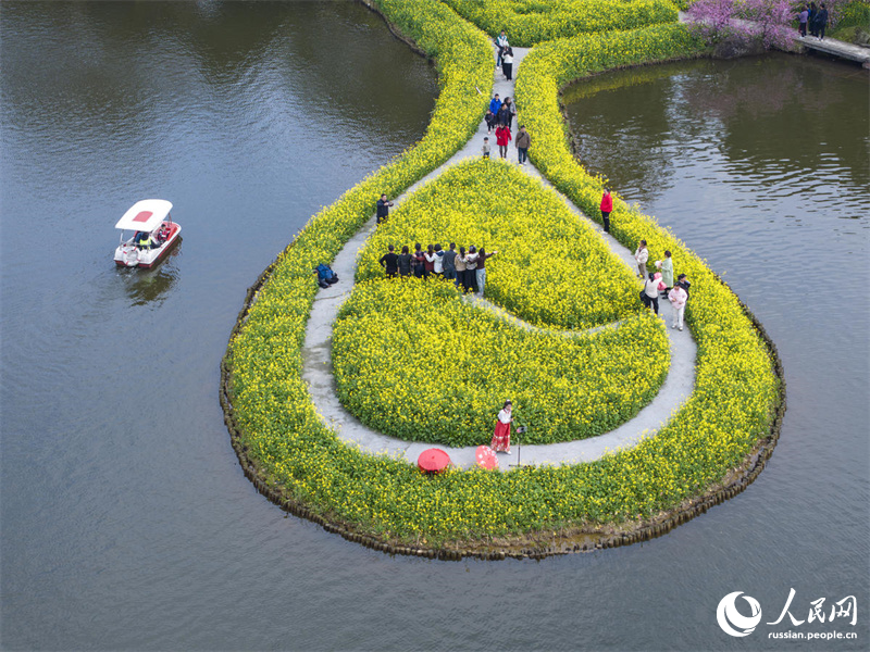 Туристы любуются весенним цветением в Чунцине