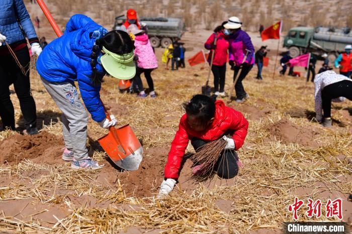 День древонасаждения в Ганьсу: волонтеры посадили растения для борьбы с опустыниванием