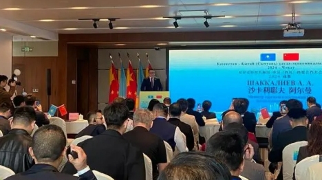 В Чэнду прошла торгово-экономическая миссия Китай(Сычуань)-Казахстан