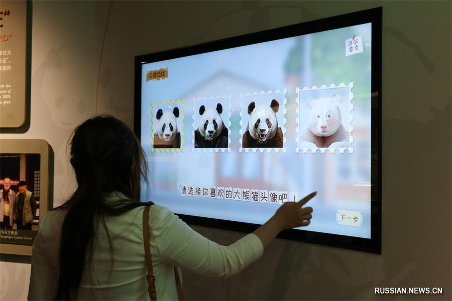 В китайской пров. Сычуань открылся Международный центр культурных обменов по большим пандам