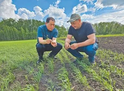 Эксперт из Узбекистана: Сельское хозяйство может стать отправной точкой к раскрытию торгового потенциала между КНР и странами Центральной Азии