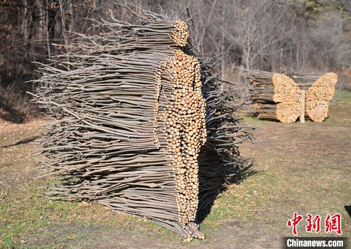 Парк в Чанчуне радует оригинальными скульптурами из веток