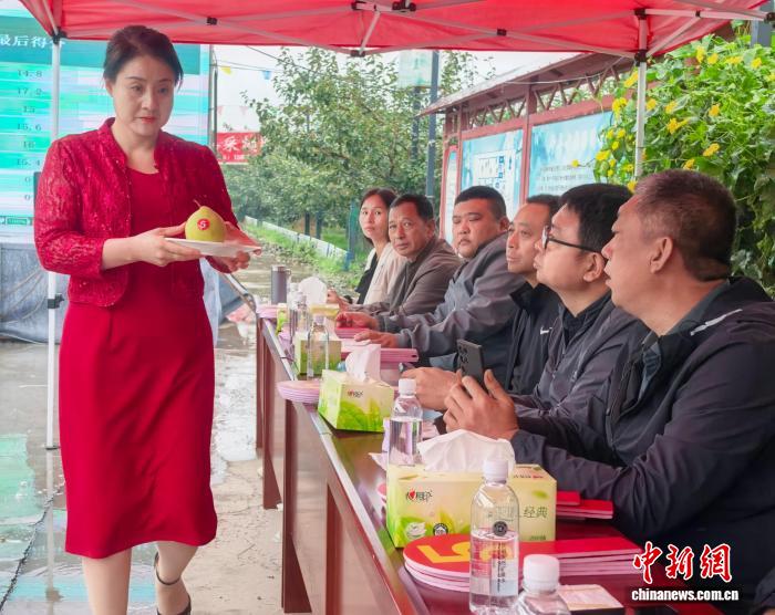 В провинции Хэбэй прошел конкурс на звание лучшей груши