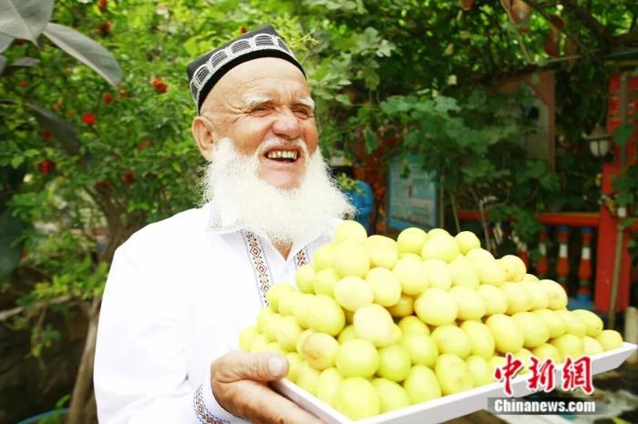 Куча – «абрикосовая столица» Синьцзяна